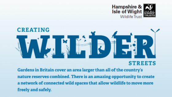 Creating wilder streets campaign logo from the Hampshire and Isle of Wight Wildlife Trust, with accompanying text: “Gardens in Britain cover an area larger than all of the country’s nature reserves combined. There is an amazing opportunity to create a network of connected wild spaces that allow wildlife to move more freely and safely.”
